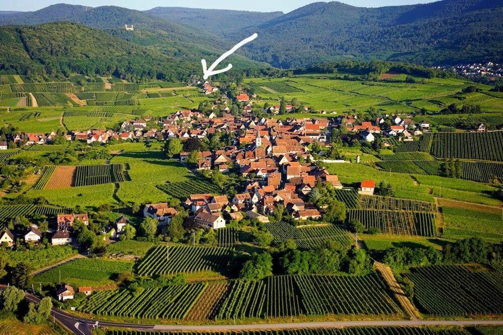 Photo of Others in Mittelbergheim