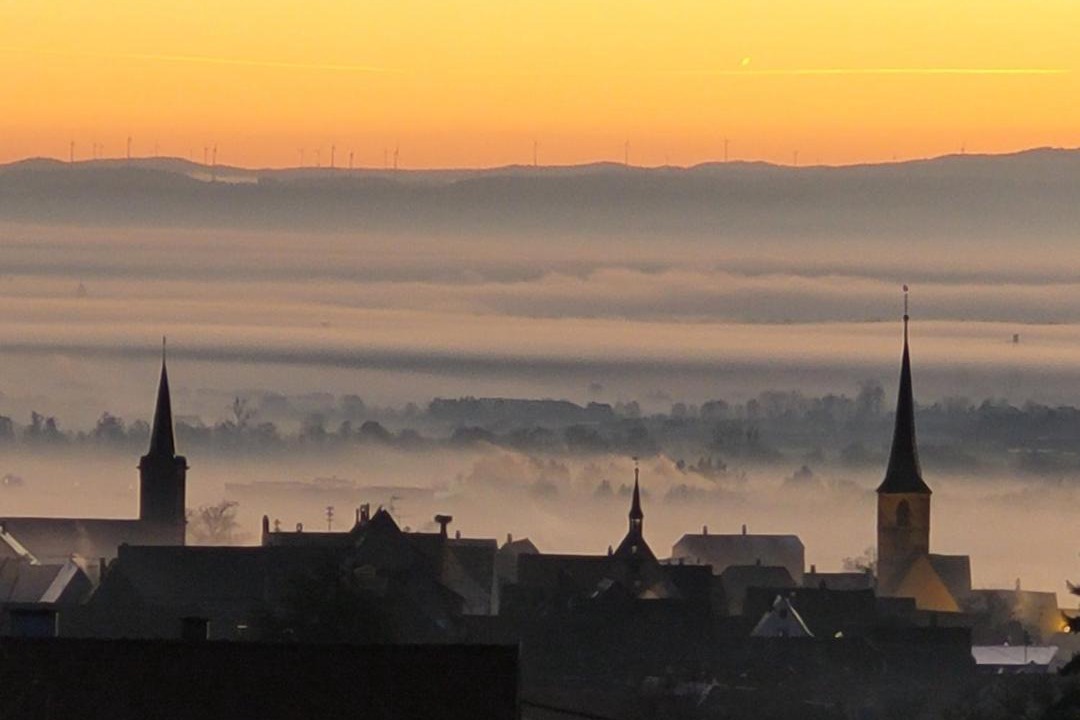 Photo of Others in Mittelbergheim