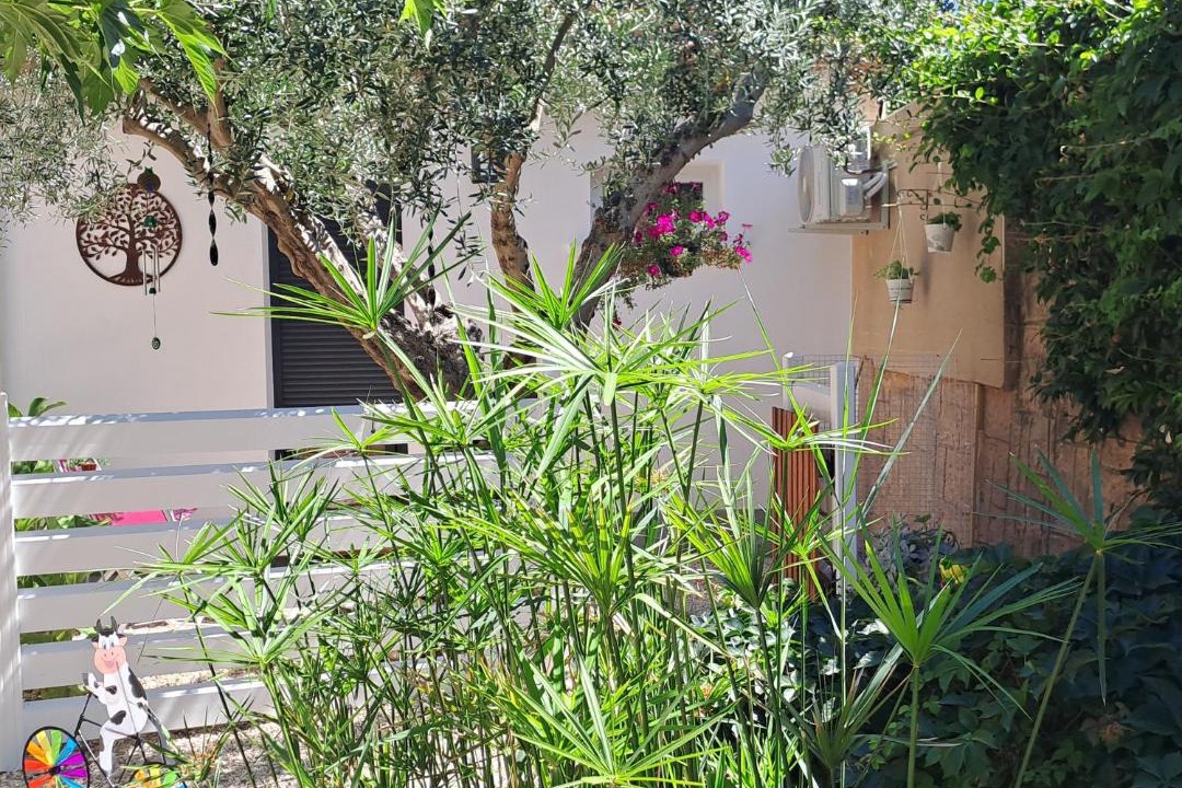 Photo of Others in Saint-Andre-de-Sangonis