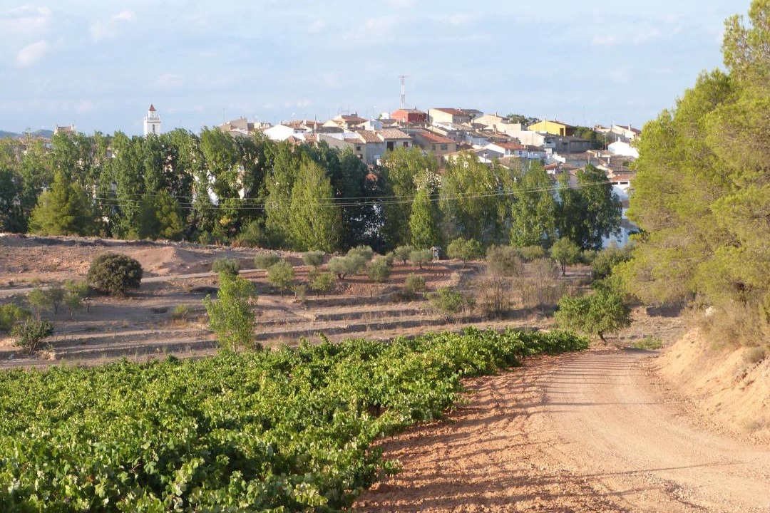 Photo of Others in Venta del Moro