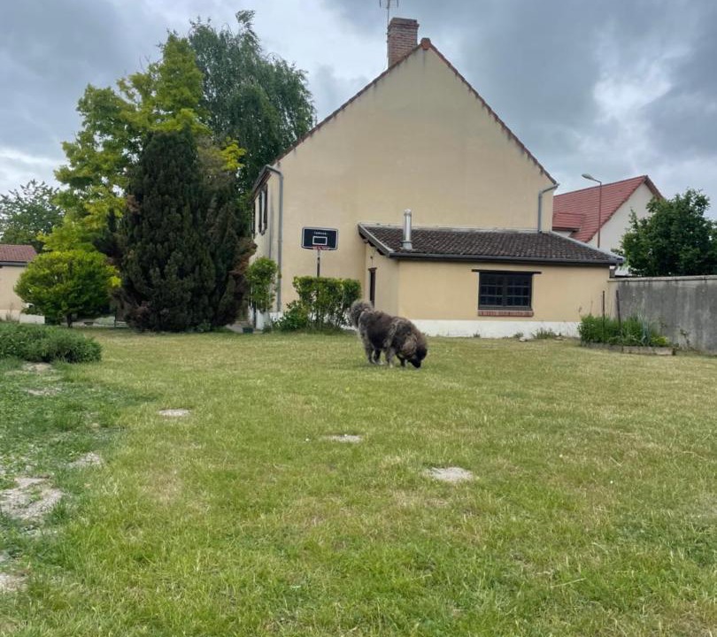 Photo of Others in Athis