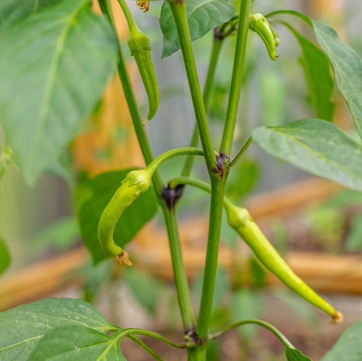 Photo of Outdoor in Enfield