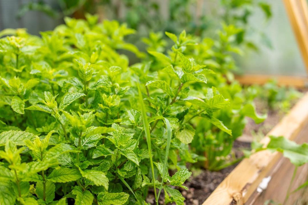 Photo of Others in Enfield