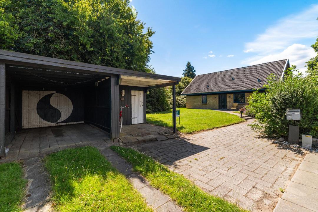 Photo of Others in Odense SV