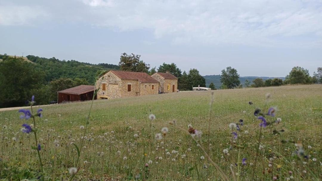 Photo of Others in Daglan