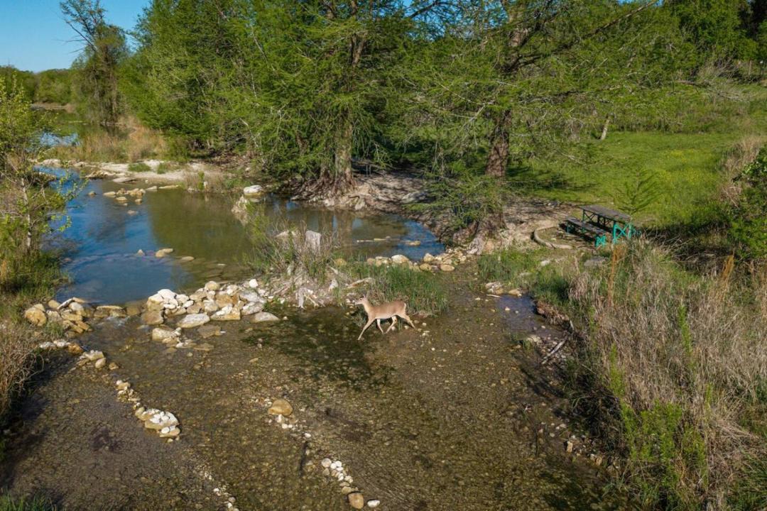 Photo of Others in Wimberley