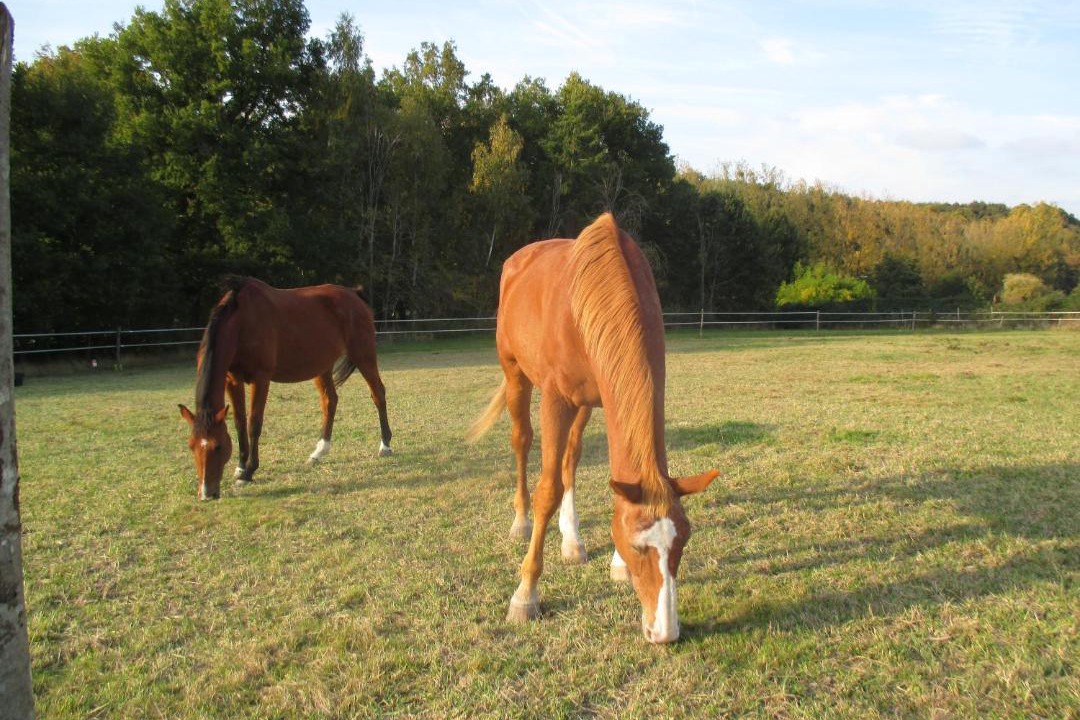 Photo of Others in Flere-la-Riviere