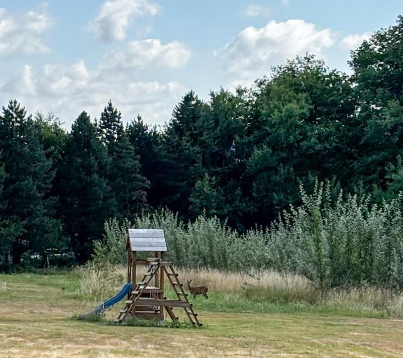 Photo of Others in La Chapelle-Blanche-Saint-Martin