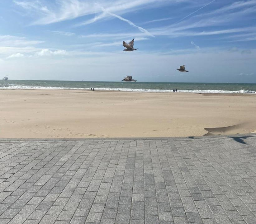 Photo of Others in Calais