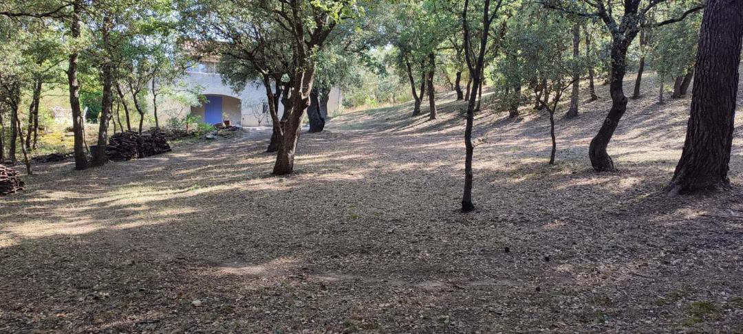 Photo of Others in Chamaret