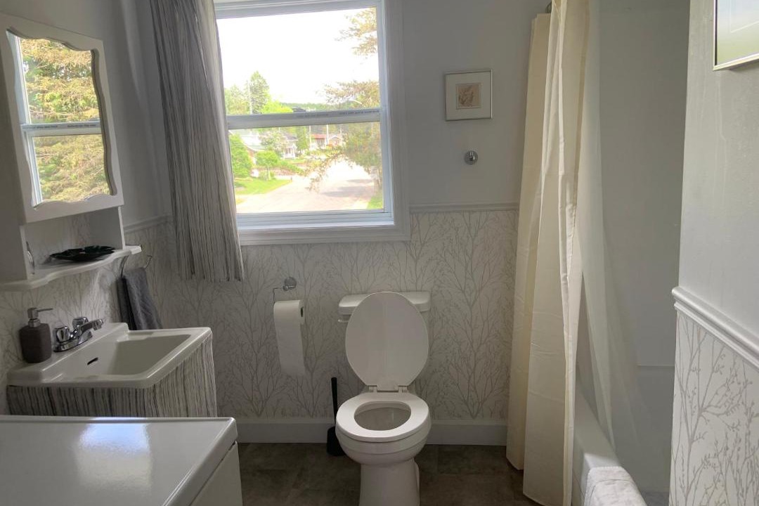 Photo of Bathroom in Saint-Alexis-des-Monts