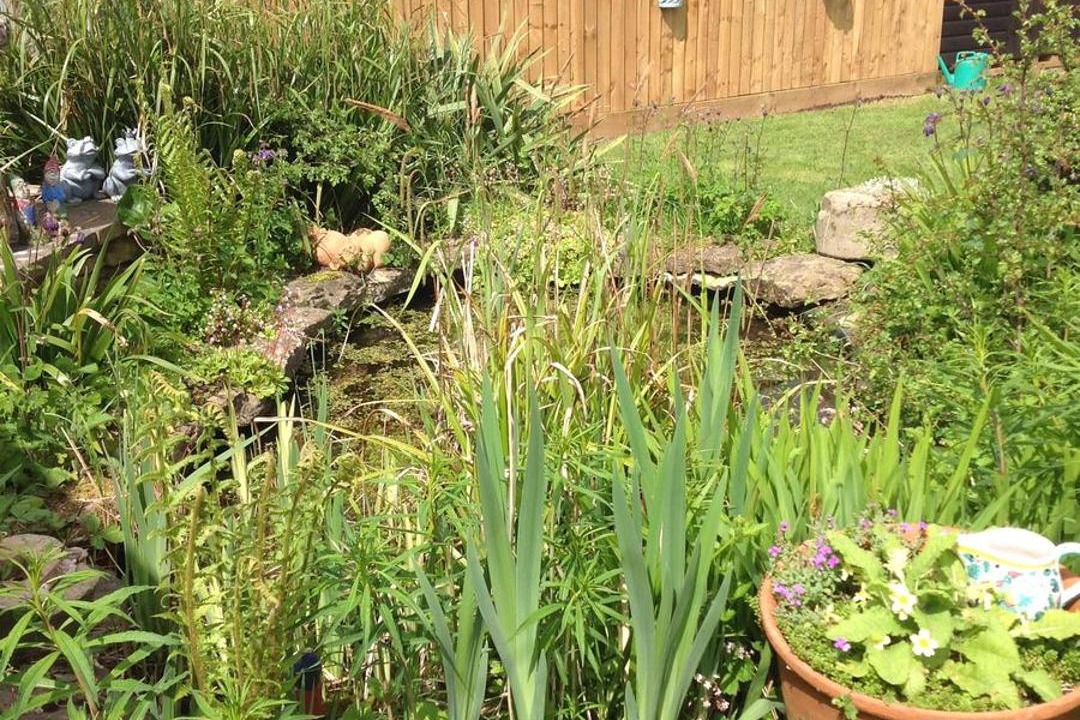 Photo of Buildings in Whichford