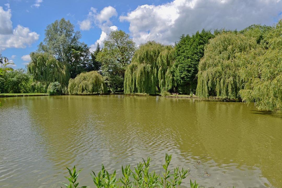 Photo of Others in Finchingfield