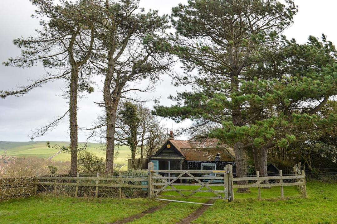 Photo of Others in East Dean and Friston