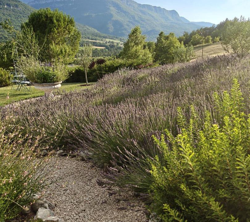 Photo of Others in Bevons