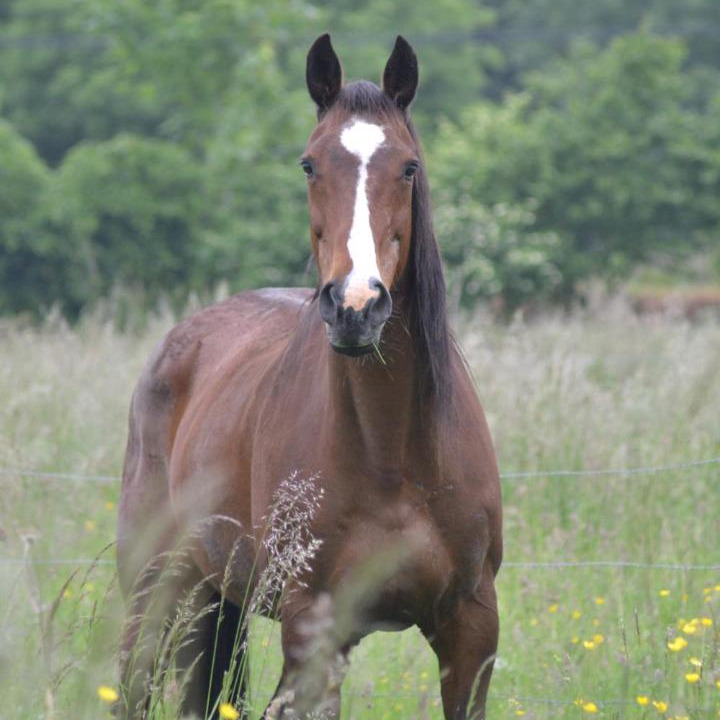 Photo of Others in Vendeuvre