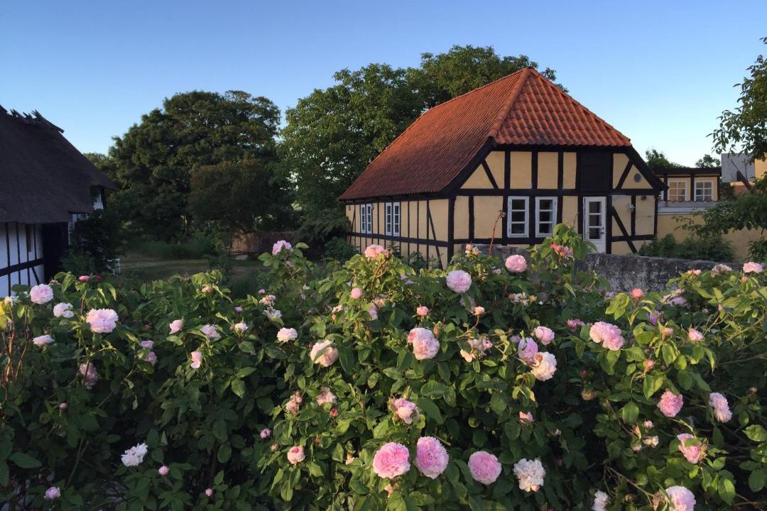 Photo of Buildings in Millinge
