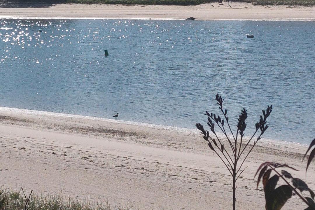 Photo of Others in Onset