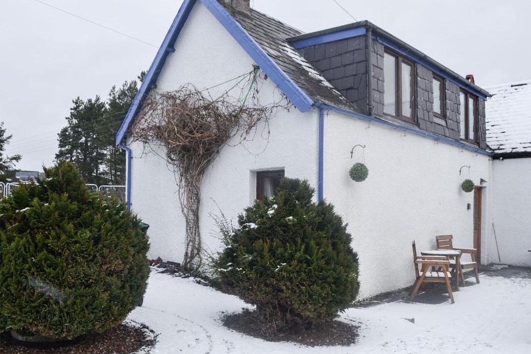 Photo of Others in Carrbridge