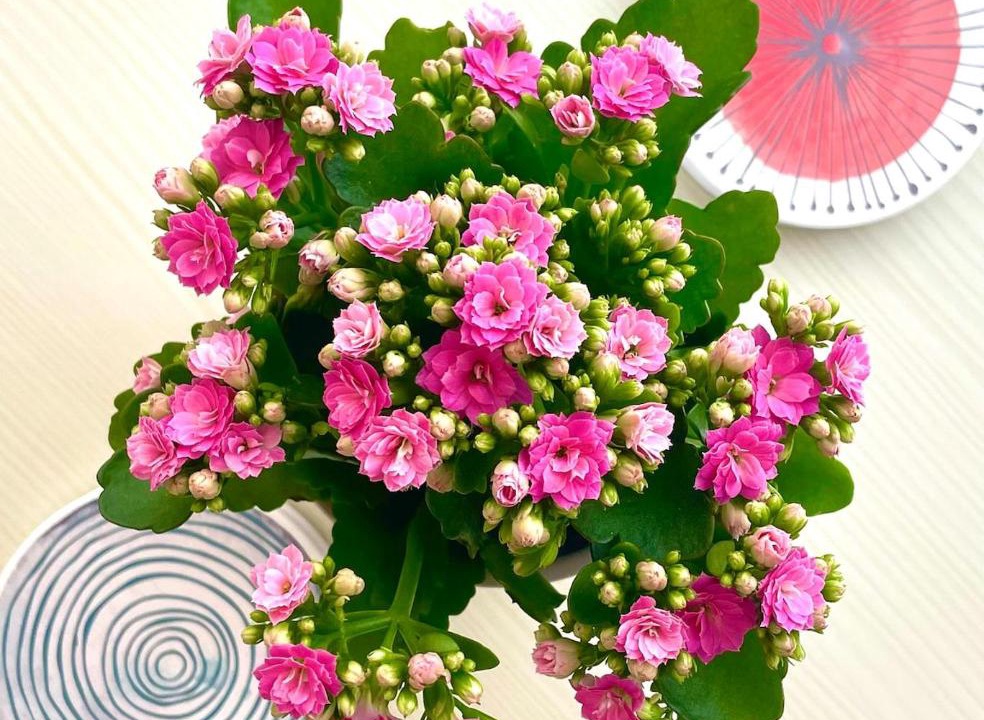 Photo of Others in Exeter