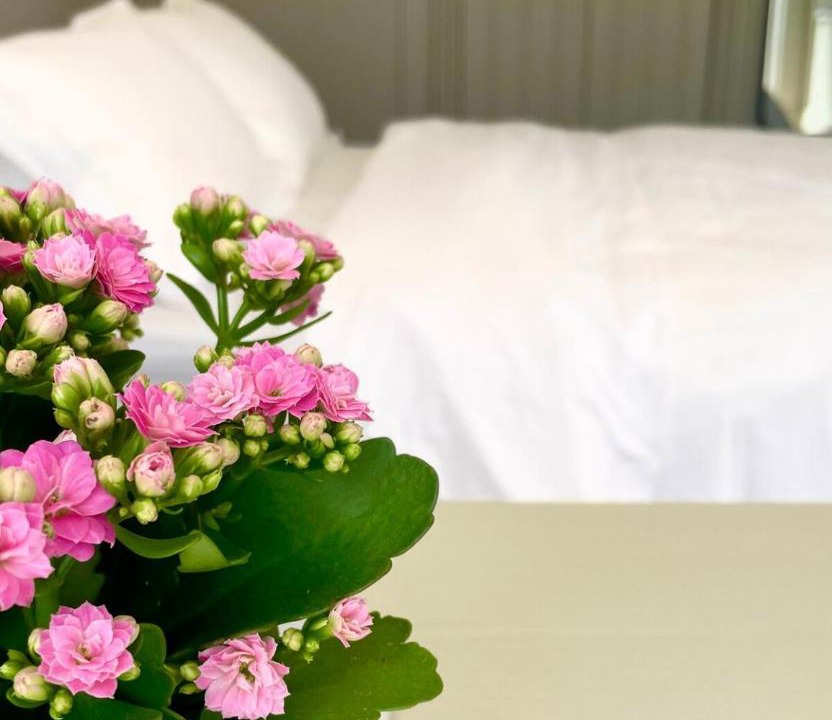 Photo of Others in Exeter