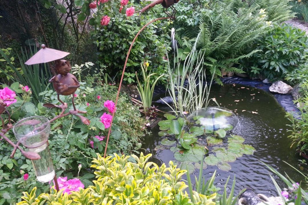 Photo of Others in Provins