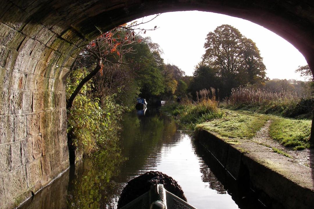Photo of Others in Stone