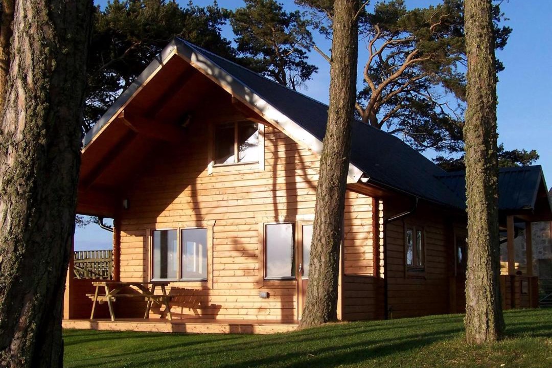 Photo of Others in Tain