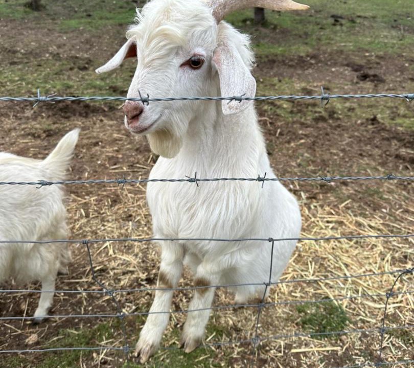 Photo of Others in Norton Summit