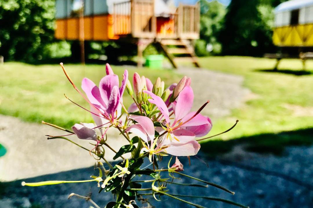 Photo of Others in Beauchamps