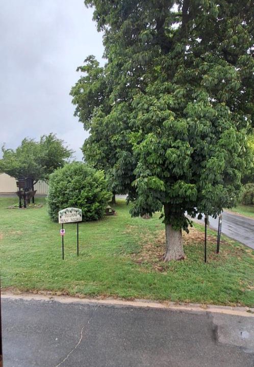 Photo of Others in Ambonnay