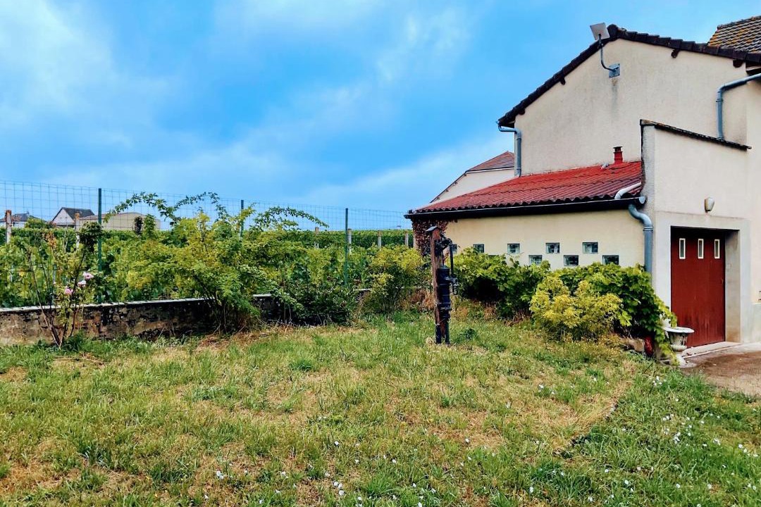 Photo of Others in Ambonnay