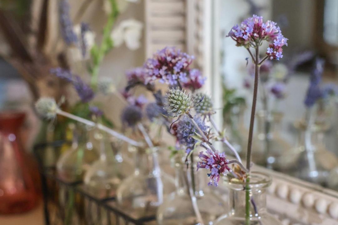 Photo of Others in Sandsend