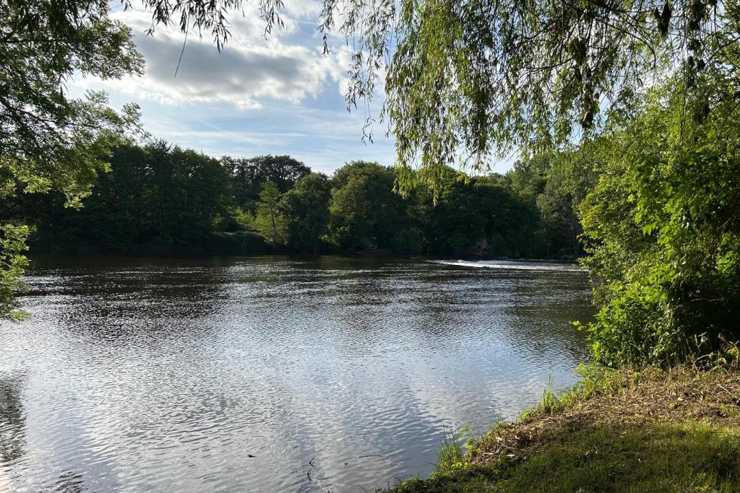 Photo of Others in Confolens