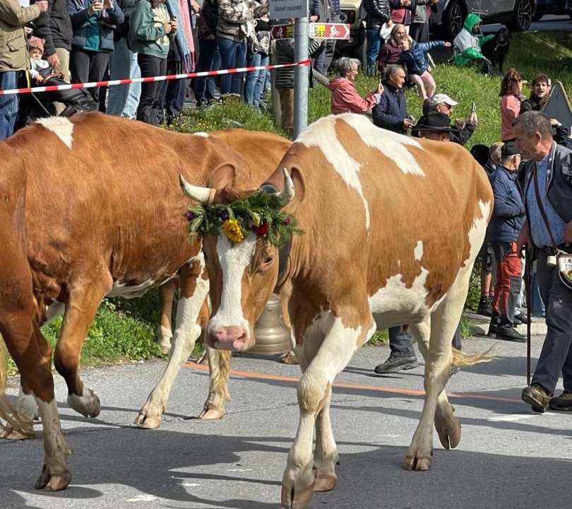 Photo of Others in Les Posses-sur-Bex