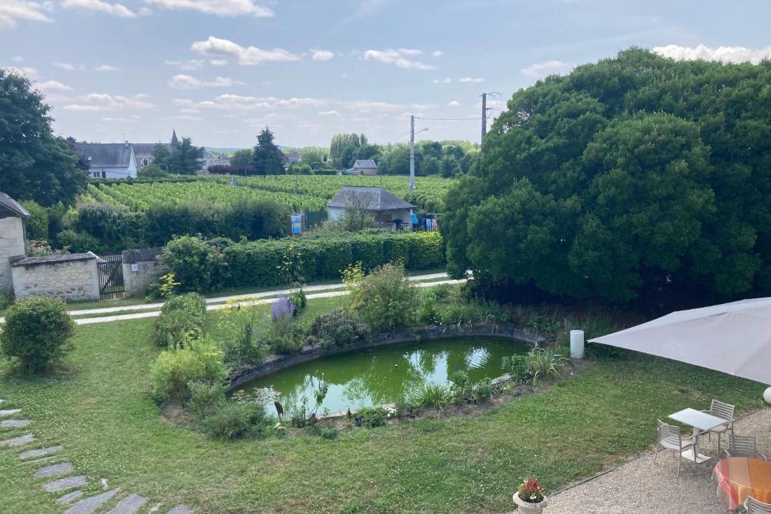 Photo of Others in Ingrandes-de-Touraine