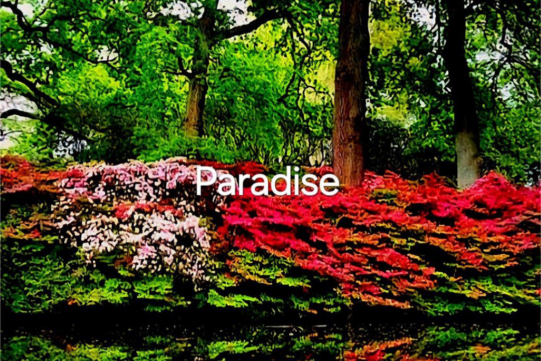 Photo of Others in Coombe Hill