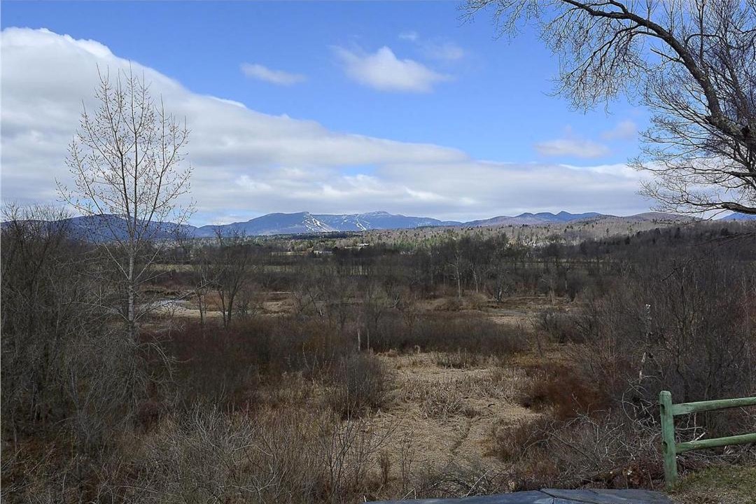 Photo of Others in Stowe