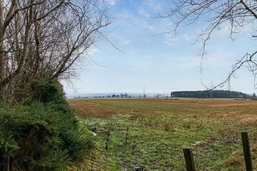 Photo of Others in Perth