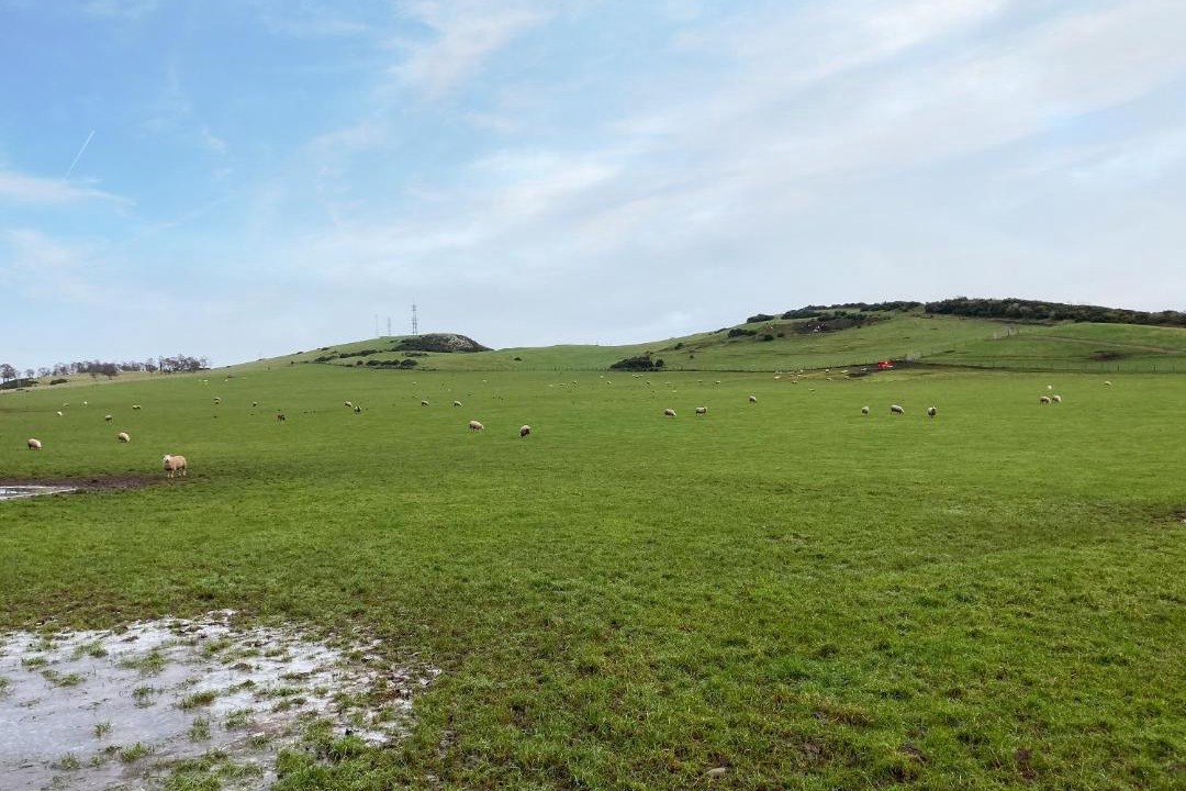 Photo of Others in Perth