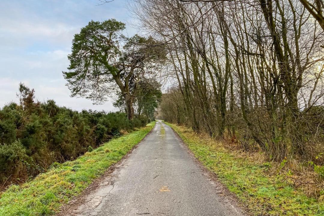 Photo of Others in Perth