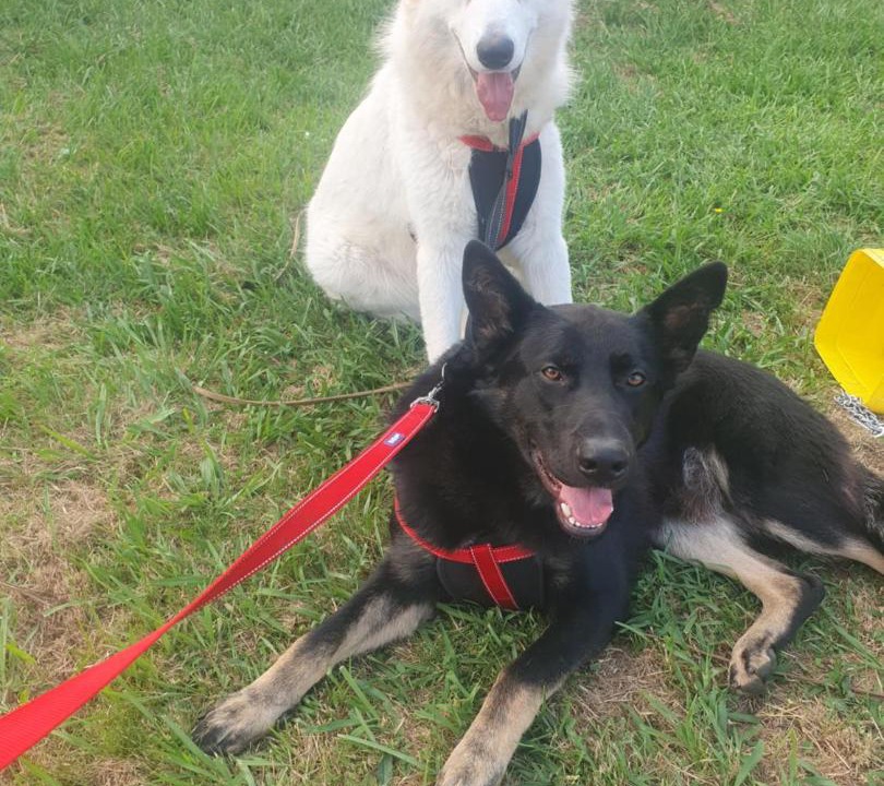 Photo of Others in Hamilton