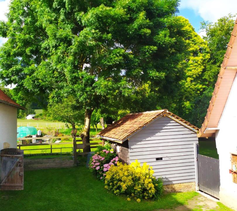 Photo of Others in Guisy