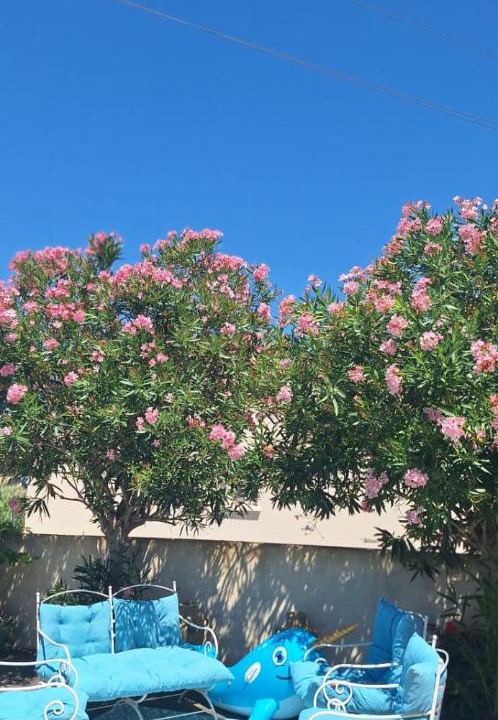 Photo of Others in Vendemian