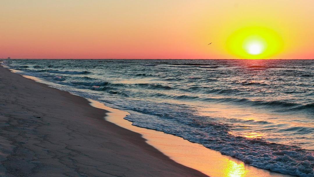 Photo of Others in Seagrove Beach