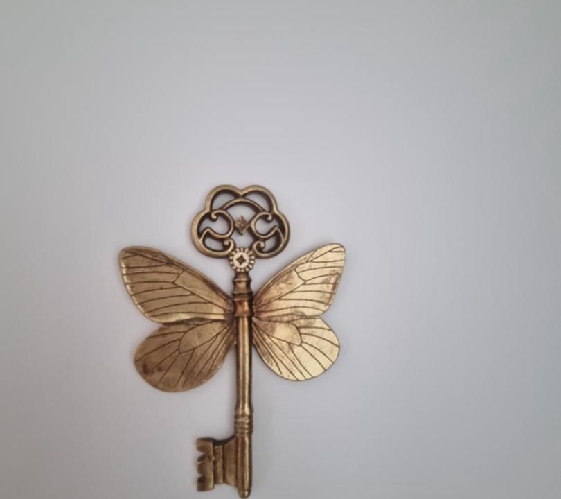 Photo of Others in Malemort-sur-Correze