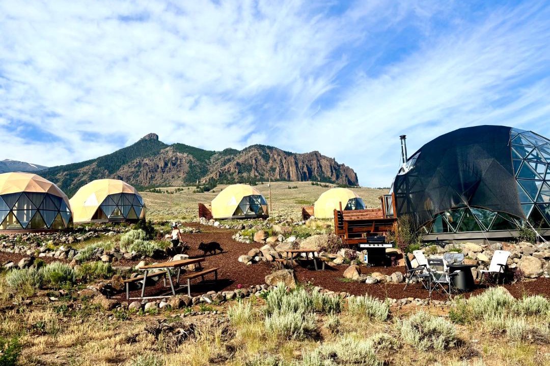 Photo of Others in Wapiti