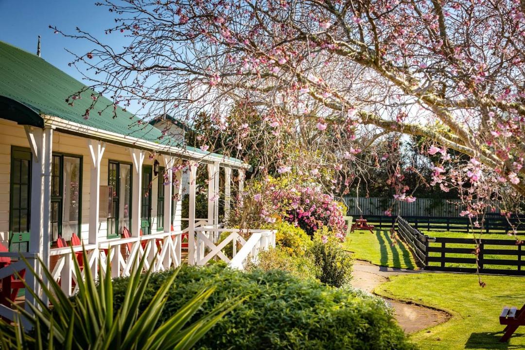 Photo of Others in Hawera