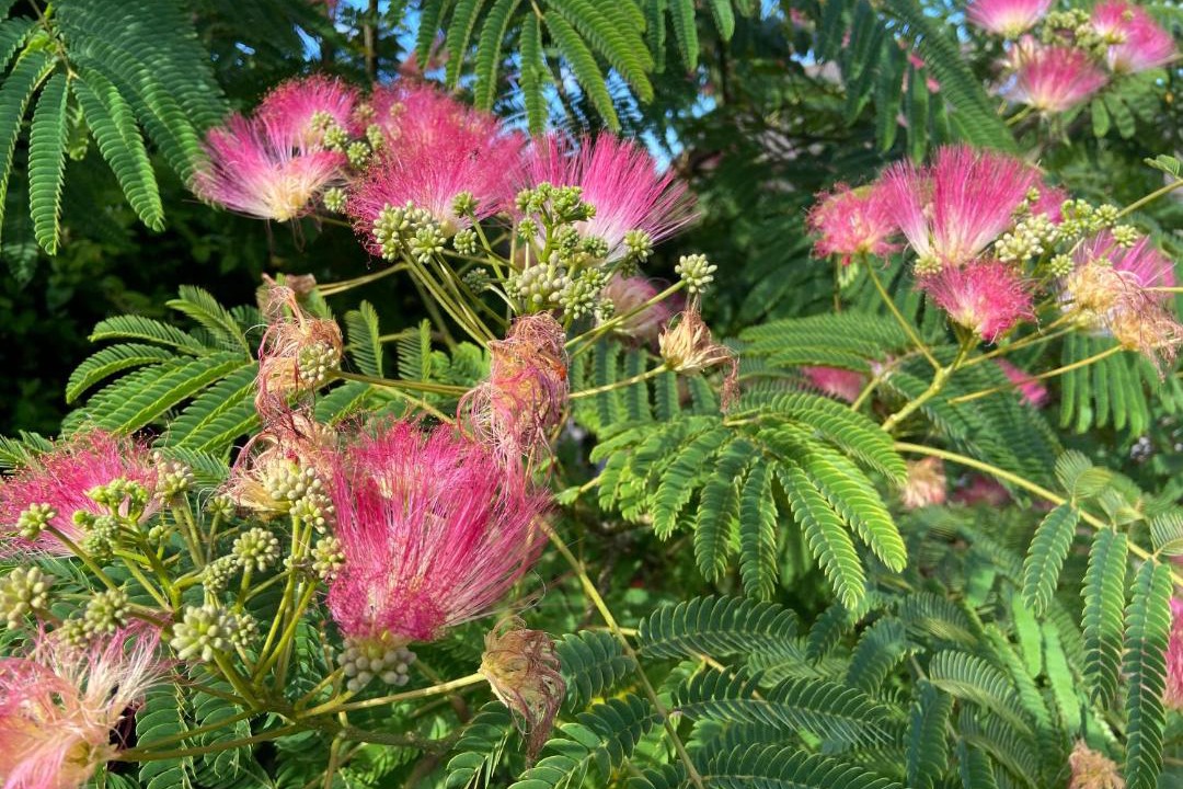 Photo of Outdoor in Azerables