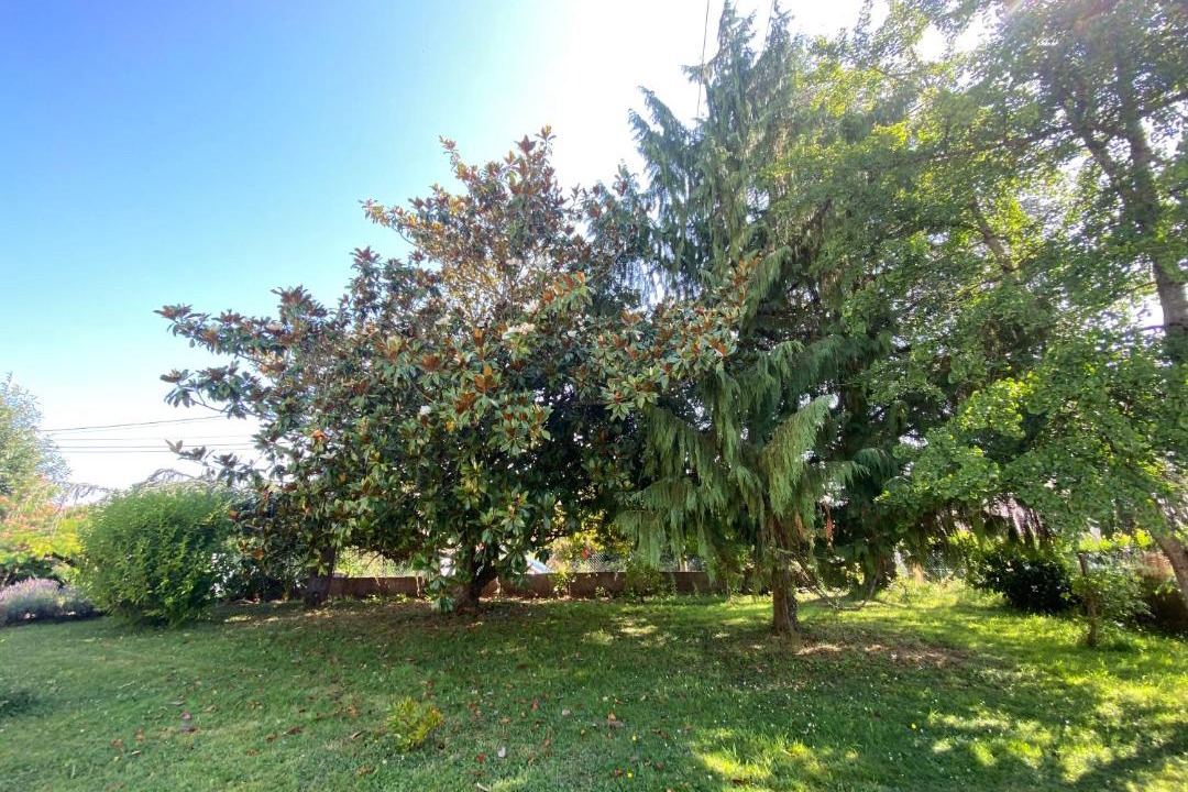 Photo of Others in Azerables